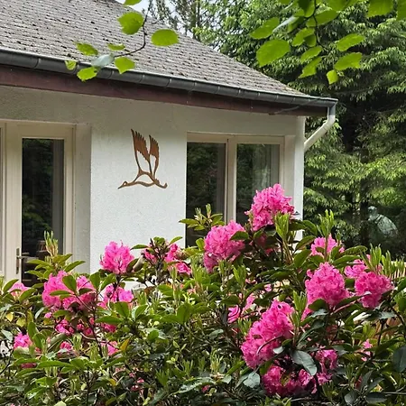 Des Grues A Filly Ferienhaus Houffalize