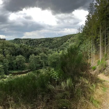 別荘 Des Grues A Filly *