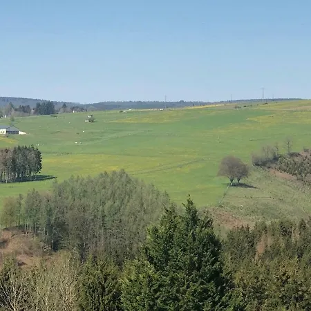 Des Grues A Filly * Houffalize