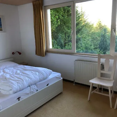 Des Grues A Filly Houffalize