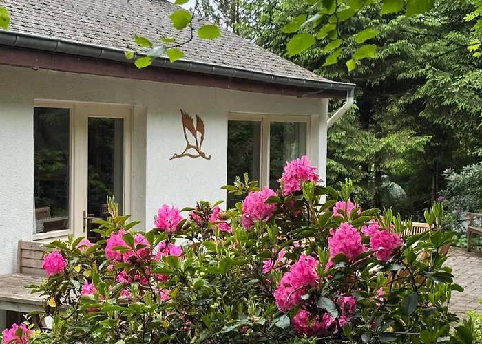 Sequir à Filly Casa vacanze Houffalize