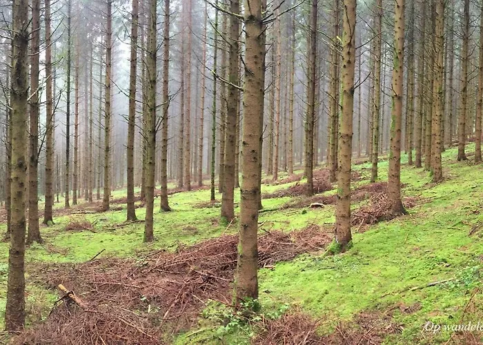 Casa vacanze Sequir à Filly *